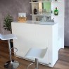 Cantina Modelo ARGENTINA